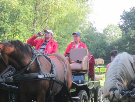 paarden aan de rustplaats